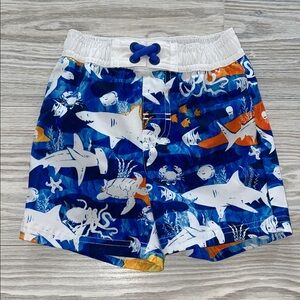 ⭐Wonder Nation Baby Boys Swim Trunks Size 12 Months⭐